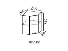 Ш550у/720 Шкаф навесной 550/720 (угловой) в Берёзовском - beryozovskij.magazin-mebel74.ru | фото